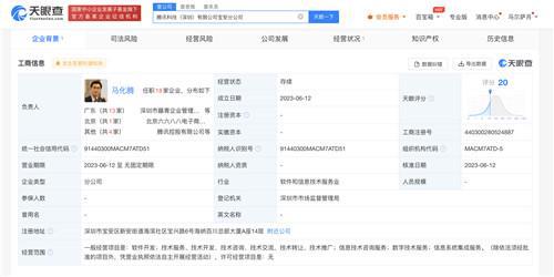 馬化騰任騰訊科技寶安分公司負責人，聚焦信息系統集成服務發展