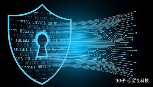 Web3.0、IPFS與Filecoin的協同演進 信息系統集成服務的視角